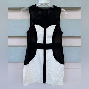 Elegant Bodycon Black and White Dress